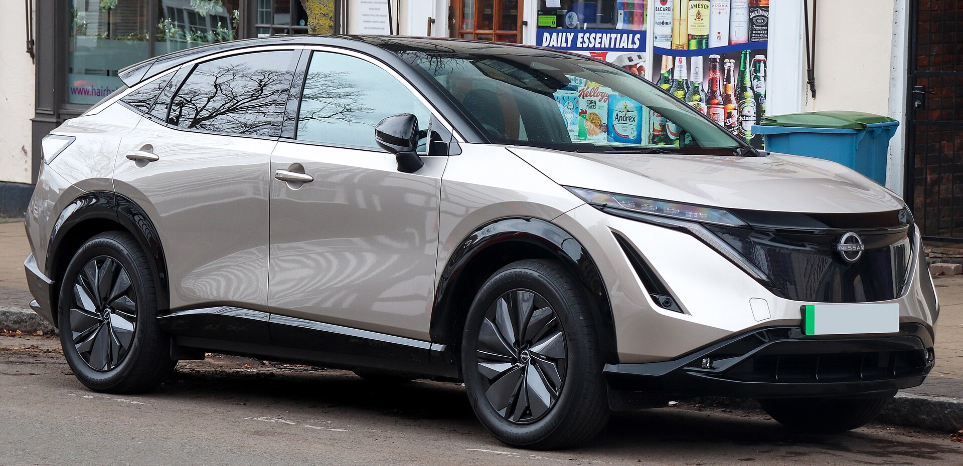 Guide d'achat Nissan Ariya
